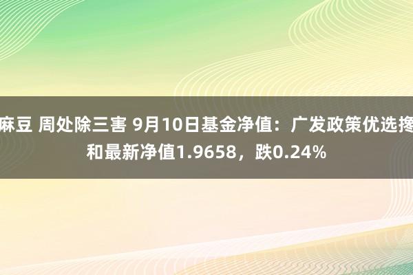 麻豆 周处除三害 9月10日基金净值：广发政策优选搀和最新净值1.9658，跌0.24%