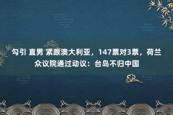 勾引 直男 紧跟澳大利亚，147票对3票，荷兰众议院通过动议：台岛不归中国