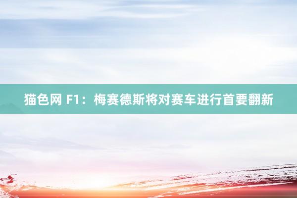 猫色网 F1：梅赛德斯将对赛车进行首要翻新