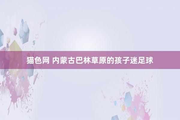 猫色网 内蒙古巴林草原的孩子迷足球