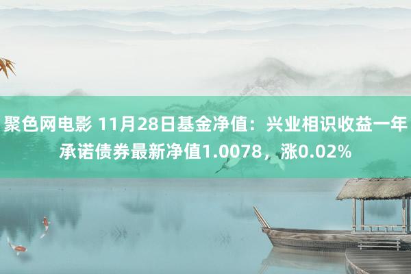 聚色网电影 11月28日基金净值：兴业相识收益一年承诺债券最新净值1.0078，涨0.02%