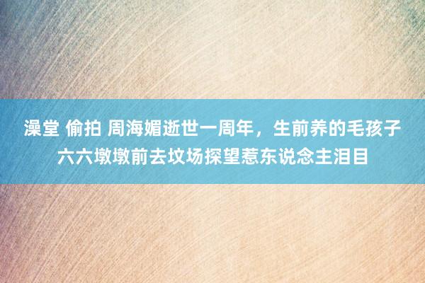澡堂 偷拍 周海媚逝世一周年，生前养的毛孩子六六墩墩前去坟场探望惹东说念主泪目