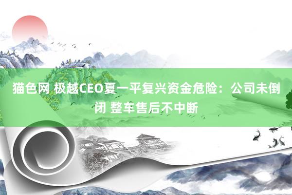 猫色网 极越CEO夏一平复兴资金危险：公司未倒闭 整车售后不中断