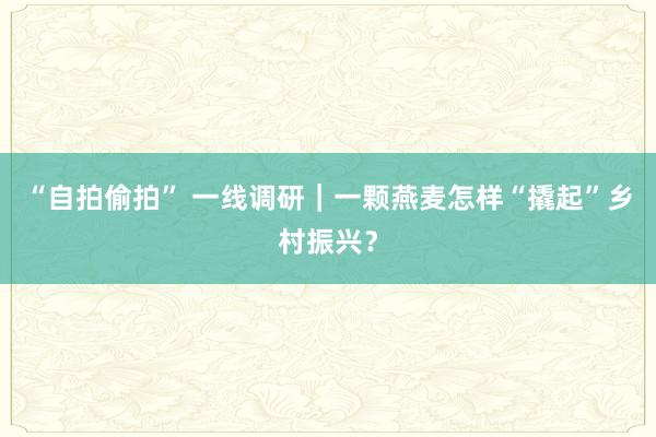 “自拍偷拍” 一线调研｜一颗燕麦怎样“撬起”乡村振兴？
