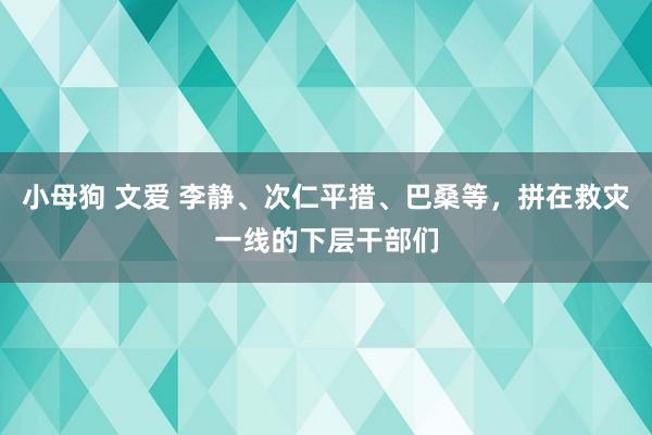 小母狗 文爱 李静、次仁平措、巴桑等，拼在救灾一线的下层干部们