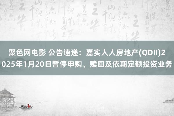 聚色网电影 公告速递：嘉实人人房地产(QDII)2025年1月20日暂停申购、赎回及依期定额投资业务