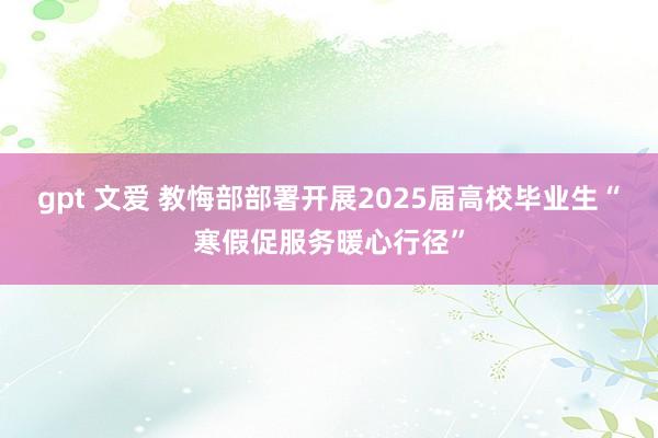 gpt 文爱 教悔部部署开展2025届高校毕业生“寒假促服务暖心行径”
