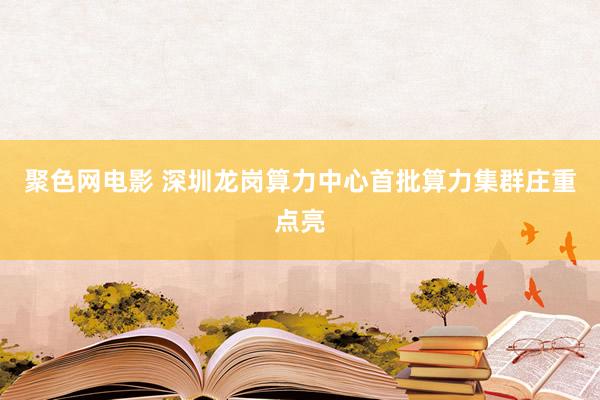聚色网电影 深圳龙岗算力中心首批算力集群庄重点亮