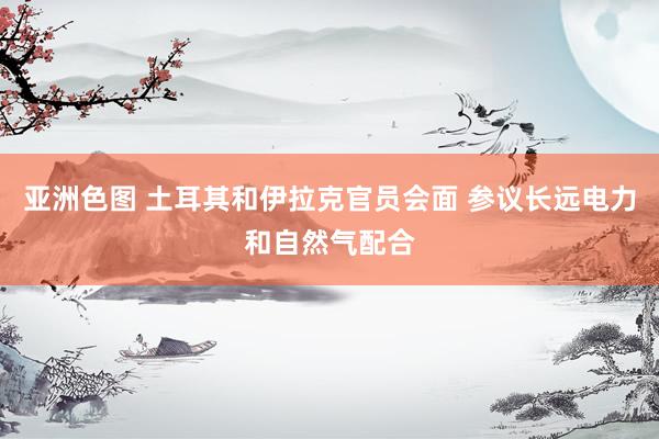 亚洲色图 土耳其和伊拉克官员会面 参议长远电力和自然气配合