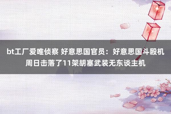 bt工厂爱唯侦察 好意思国官员：好意思国斗殴机周日击落了11架胡塞武装无东谈主机