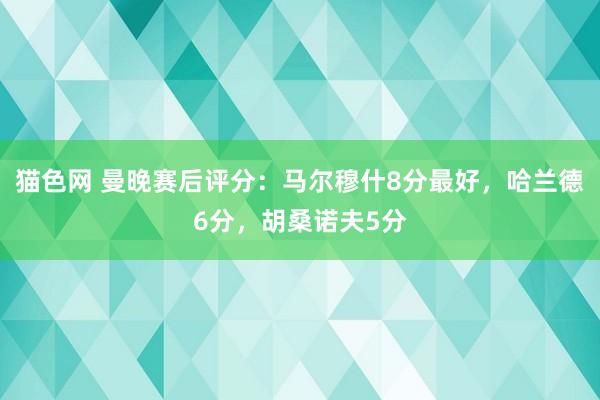 猫色网 曼晚赛后评分：马尔穆什8分最好，哈兰德6分，胡桑诺夫5分