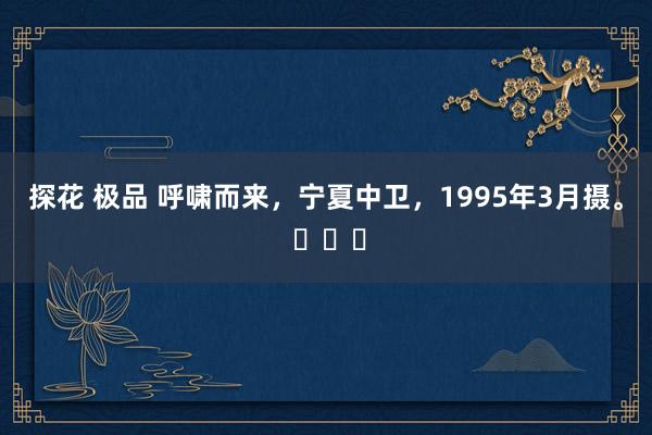 探花 极品 呼啸而来，宁夏中卫，1995年3月摄。 ​​​