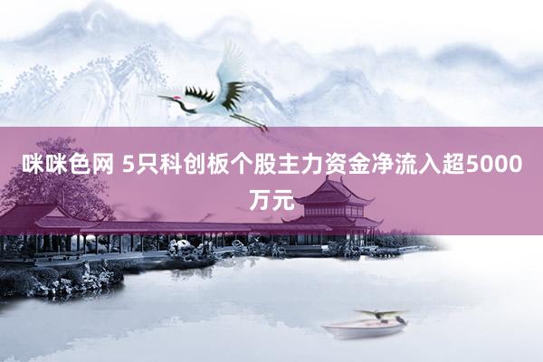 咪咪色网 5只科创板个股主力资金净流入超5000万元