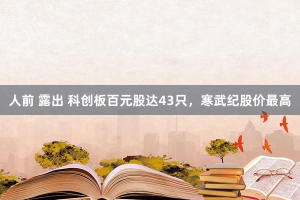 人前 露出 科创板百元股达43只，寒武纪股价最高
