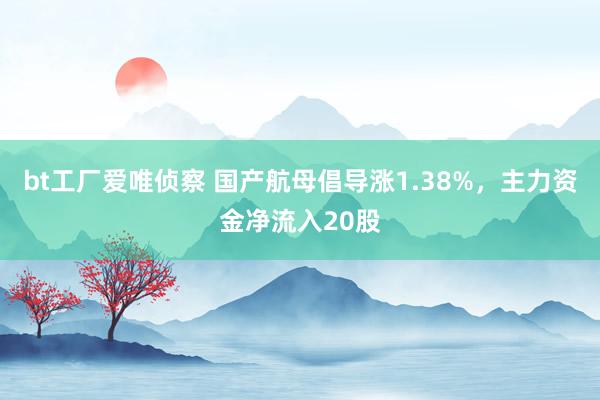 bt工厂爱唯侦察 国产航母倡导涨1.38%，主力资金净流入20股
