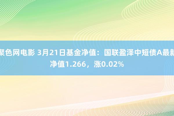 聚色网电影 3月21日基金净值：国联盈泽中短债A最新净值1.266，涨0.02%