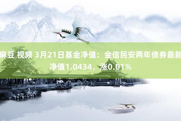 麻豆 视频 3月21日基金净值：金信民安两年债券最新净值1.0434，涨0.01%