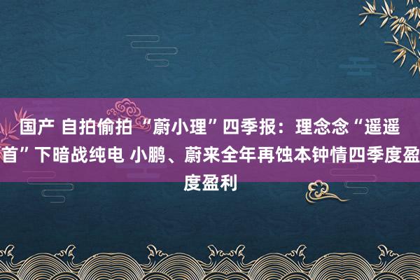 国产 自拍偷拍 “蔚小理”四季报：理念念“遥遥开首”下暗战纯电 小鹏、蔚来全年再蚀本钟情四季度盈利