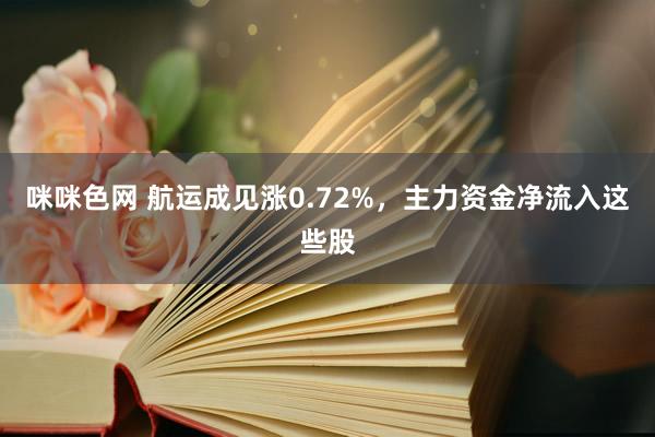 咪咪色网 航运成见涨0.72%，主力资金净流入这些股