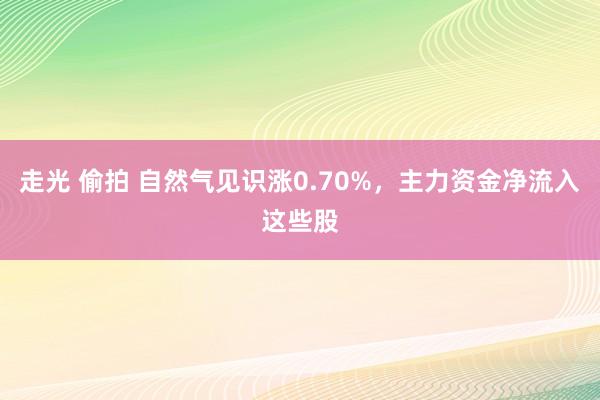 走光 偷拍 自然气见识涨0.70%，主力资金净流入这些股