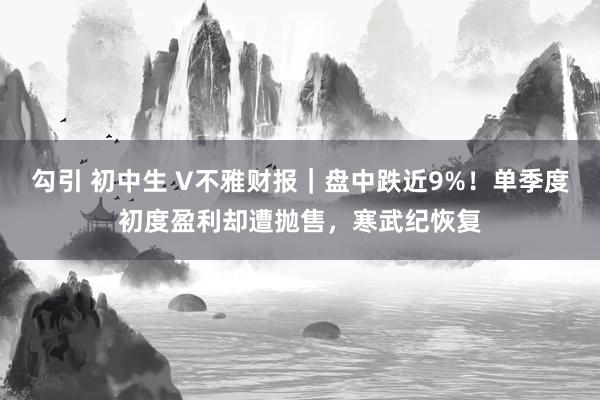 勾引 初中生 V不雅财报｜盘中跌近9%！单季度初度盈利却遭抛售，寒武纪恢复