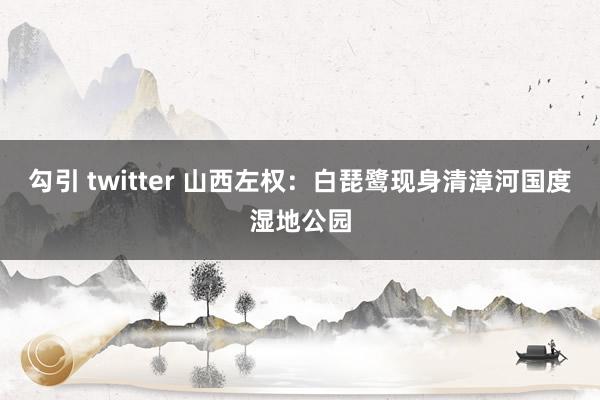 勾引 twitter 山西左权：白琵鹭现身清漳河国度湿地公园