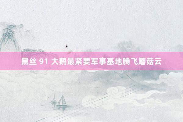 黑丝 91 大鹅最紧要军事基地腾飞蘑菇云
