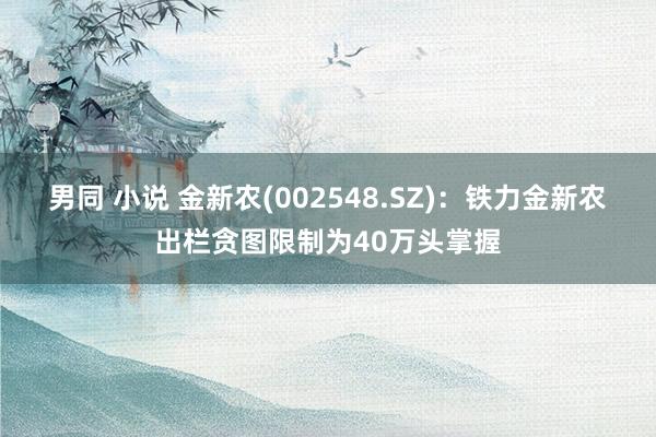 男同 小说 金新农(002548.SZ)：铁力金新农出栏贪图限制为40万头掌握