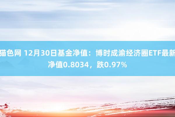 猫色网 12月30日基金净值：博时成渝经济圈ETF最新净值0.8034，跌0.97%