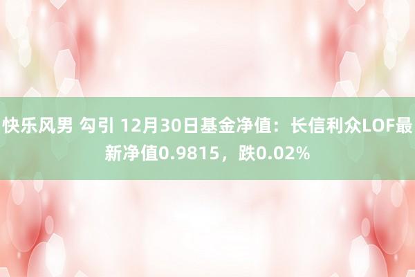 快乐风男 勾引 12月30日基金净值：长信利众LOF最新净值0.9815，跌0.02%