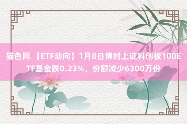 猫色网 【ETF动向】1月8日博时上证科创板100ETF基金跌0.23%，份额减少6300万份