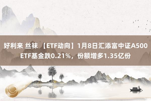 好利来 丝袜 【ETF动向】1月8日汇添富中证A500ETF基金跌0.21%，份额增多1.35亿份