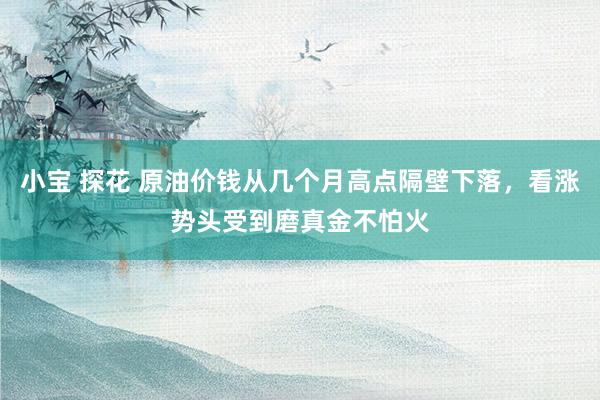 小宝 探花 原油价钱从几个月高点隔壁下落，看涨势头受到磨真金不怕火