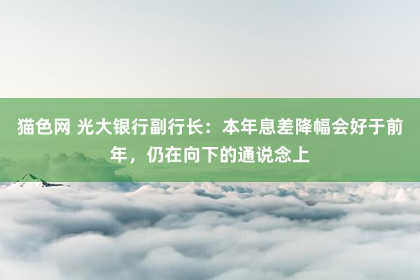 猫色网 光大银行副行长：本年息差降幅会好于前年，仍在向下的通说念上