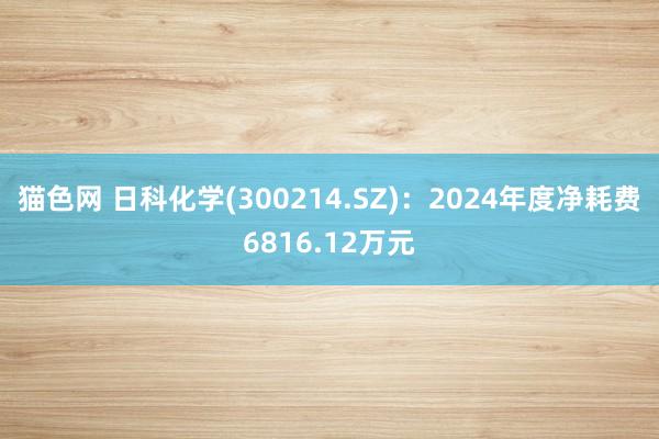 猫色网 日科化学(300214.SZ)：2024年度净耗费6816.12万元