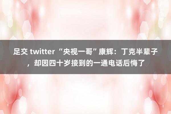 足交 twitter “央视一哥”康辉：丁克半辈子，却因四十岁接到的一通电话后悔了
