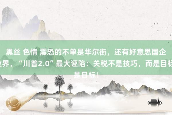 黑丝 色情 震恐的不单是华尔街，还有好意思国企业界，“川普2.0”最大诬陷：关税不是技巧，而是目标！