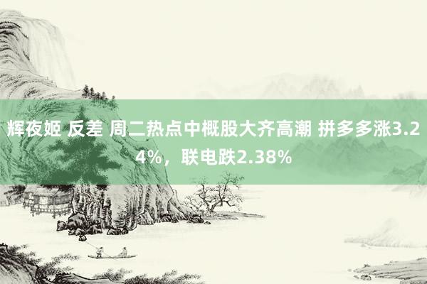 辉夜姬 反差 周二热点中概股大齐高潮 拼多多涨3.24%，联电跌2.38%