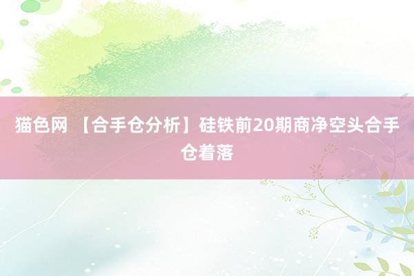 猫色网 【合手仓分析】硅铁前20期商净空头合手仓着落