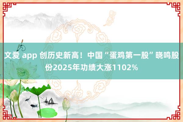 文爱 app 创历史新高！中国“蛋鸡第一股”晓鸣股份2025年功绩大涨1102%