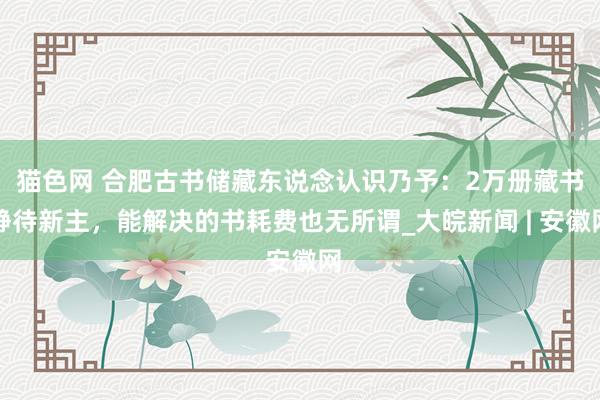 猫色网 合肥古书储藏东说念认识乃予：2万册藏书静待新主，能解决的书耗费也无所谓_大皖新闻 | 安徽网