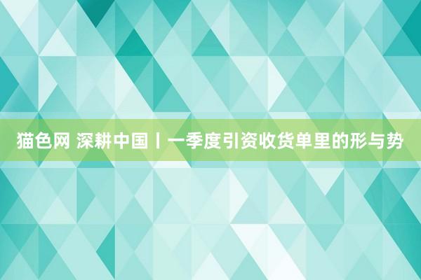 猫色网 深耕中国丨一季度引资收货单里的形与势